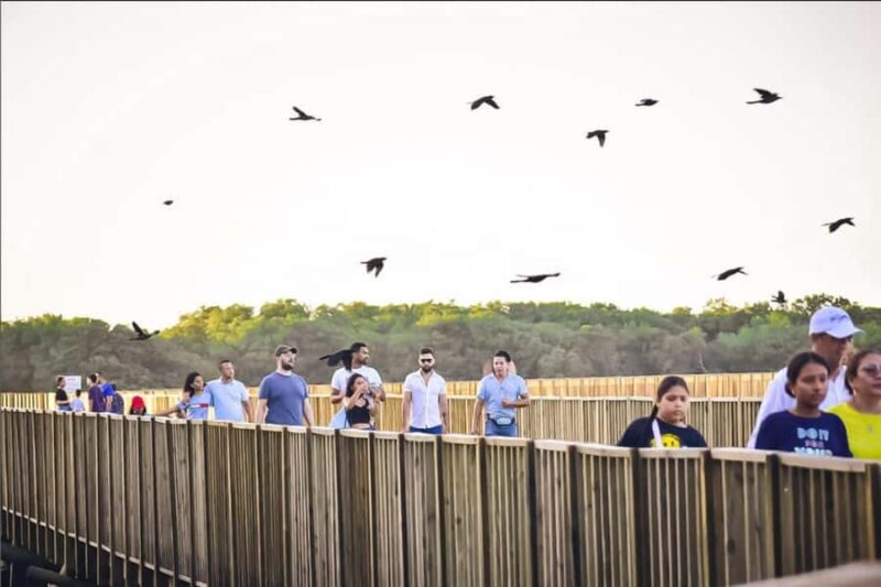 Mallorquin Eco-Park Walking Tour - Who Is This Tour For?