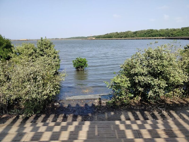 Mallorquin Eco-Park Walking Tour - The Sum Up: Why Choose the Mallorquin Eco-Park Walking Tour?