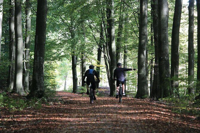 Malmo Bike Rental - Discover Malmö on Two Wheels: A Practical Review of Malmo Bike Rental