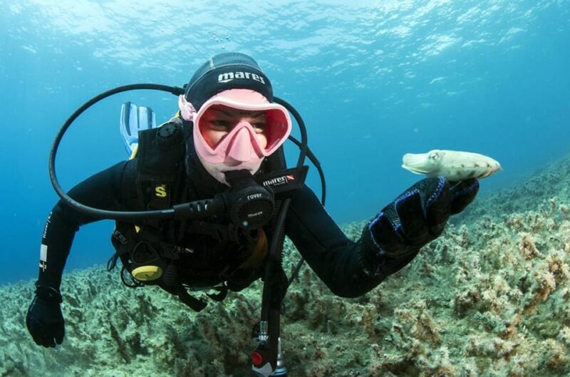 Malta: 1-Day PADI Scuba Diver Certification Beginner Course - What to Expect in Practice