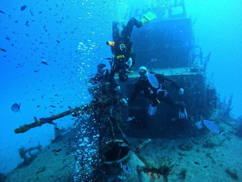 Malta: 2 Guided Dives for Certified Divers with Diving Gear - Final Thoughts