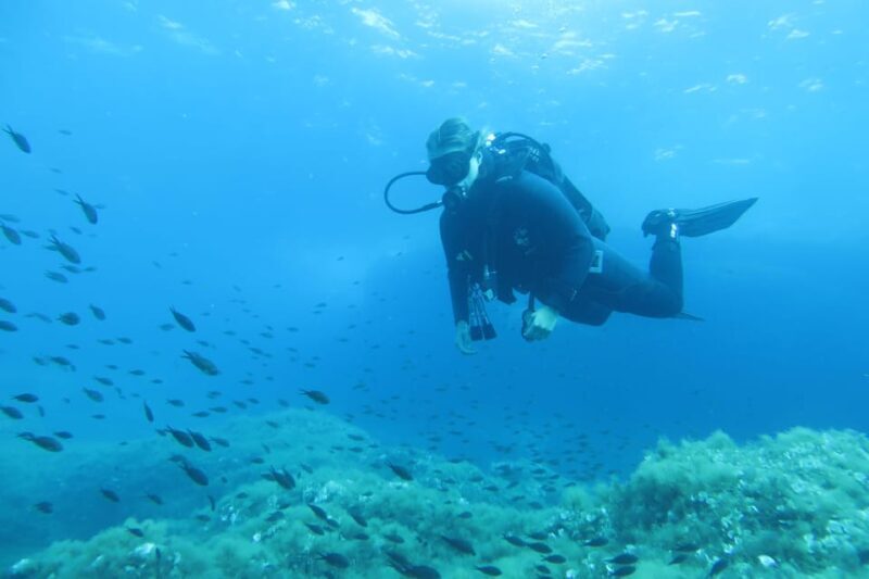 Malta: 2 Scuba Fun Dives for Certified divers - Malta: 2 Scuba Fun Dives for Certified Divers