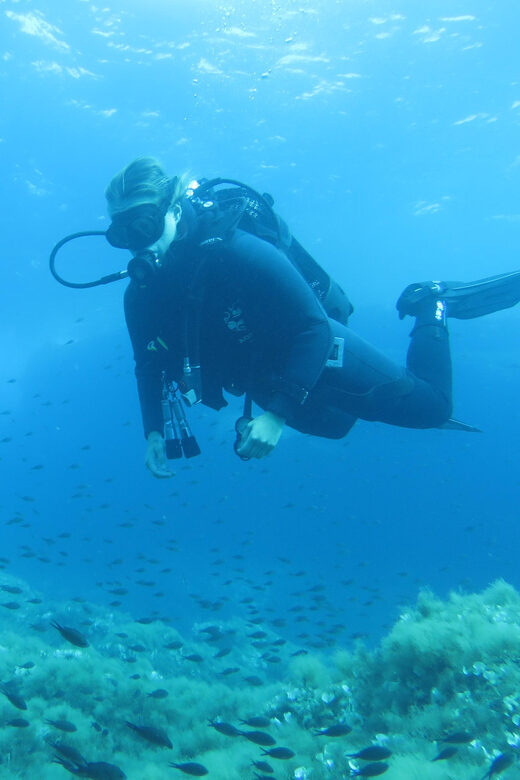 Malta: 2 Scuba Fun Dives for Certified divers - The Sum Up