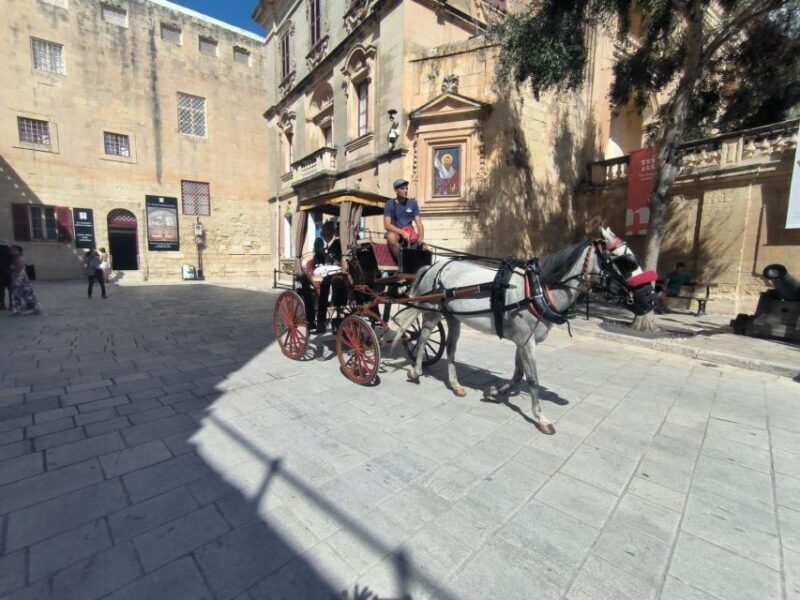 Malta: Ancient Wonders, Coastal Charms, and Cities Tour - Authentic Experiences and Genuine Value