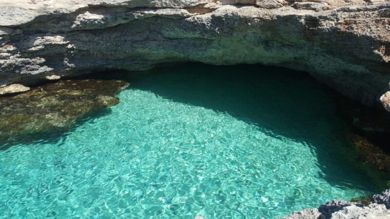 Malta: Blue Lagoon Evening Swim & Snorkel Boat Cruise - The Value of the Experience