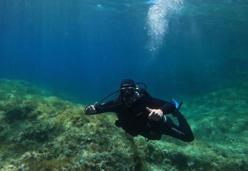 Malta: Boat Dive Trip for Certified Divers - An In-Depth Look at the Malta Boat Dive Experience