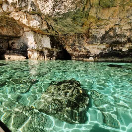 MALTA Comino BlueLagoon 3 hours Private Boat trips - Who Should Consider This?