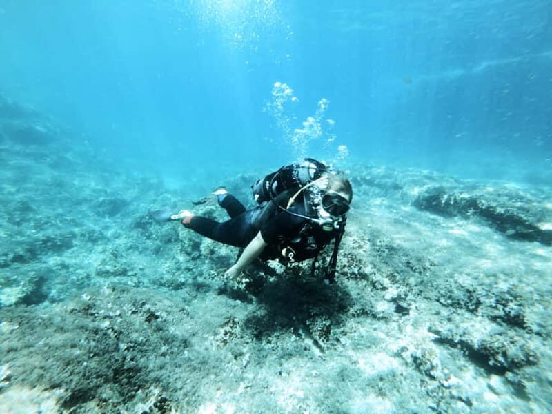 Malta: First Experience Scuba Diving Lesson - Authentic Traveler Perspectives