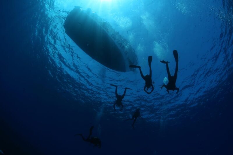 Malta: Guided Shore Dives in Malta for Certified Divers - A Detailed Look at the Malta Shore Diving Experience