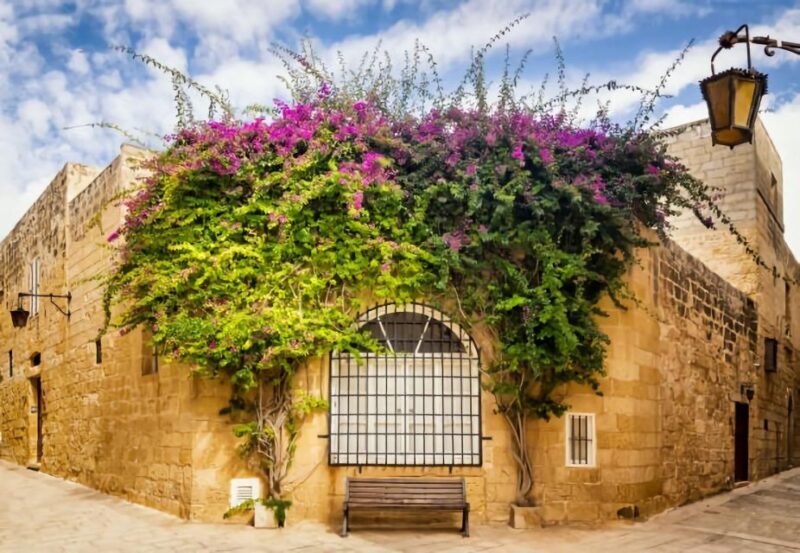 Malta: Mdina, Dingli Cliffs and San Anton Botanical Gardens - Who Should Consider This Tour?