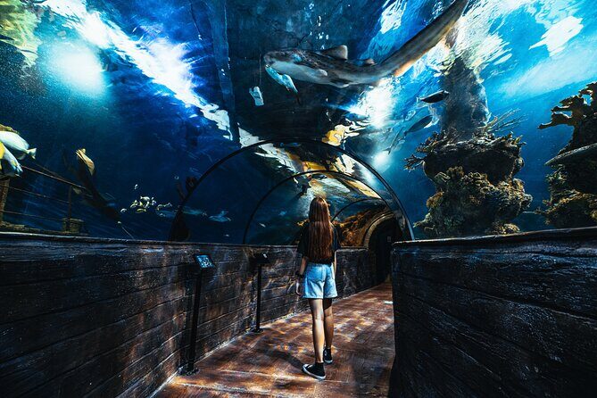 Malta National Aquarium Entrance Ticket - Key Points