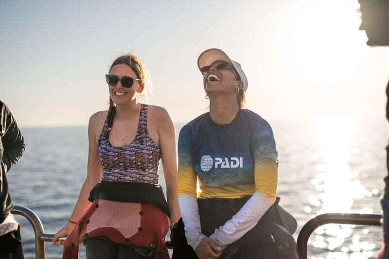 Malta: Open Water Course (PADI) - The Dive Experience in Malta: Beautiful, Calm, and Clear Waters