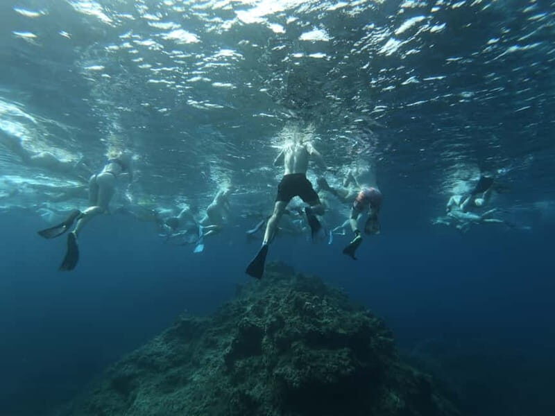 Malta: Snorkeling Tour - Why Choose This Tour?
