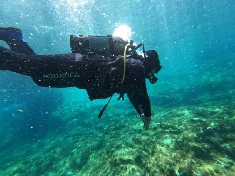 Malta: St. Paul's Bay 1 Day Scuba Diving Course - What to Expect: Day-by-Day Breakdown
