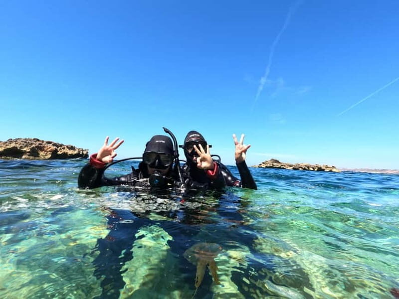 Malta: St. Paul's Bay 1 Day Scuba Diving Course - Authentic Insights from Participants