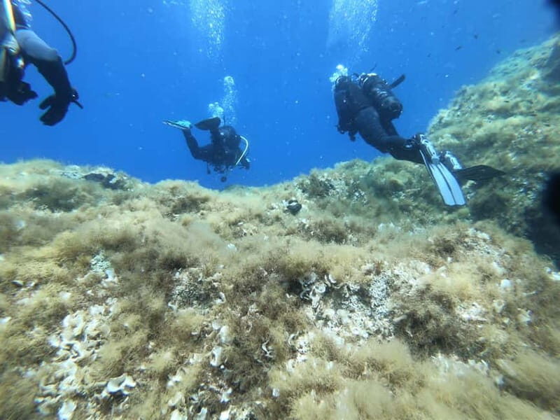 Malta: St. Paul's Bay 1 Day Scuba Diving Course - Frequently Asked Questions