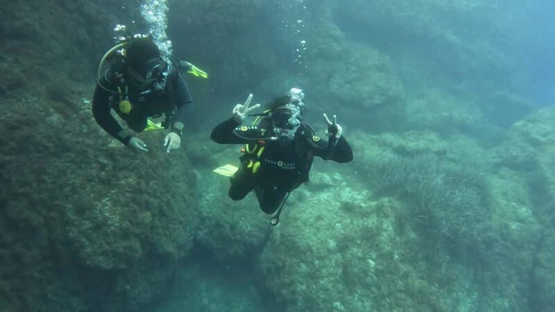 Malta St Pauls Bay: PADI Discover Scuba Diving Experience - Key Points
