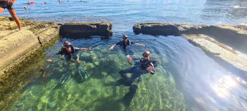 Malta St Pauls Bay: PADI Discover Scuba Diving Experience - Who Will Love This Experience