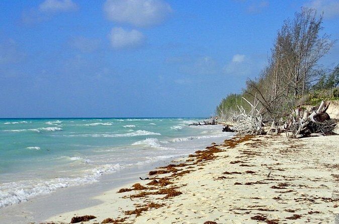 Mamma Gal Celeb-Key Native Exp. Shared Tour - FAQs