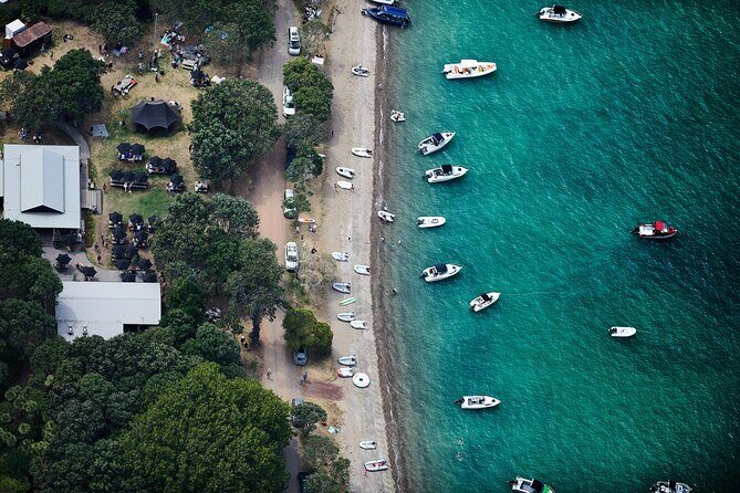 Man O' War Winery on Waiheke Island - Ferry from Auckland - Experience the Best of Waiheke Island with the Man O’ War Winery Tour