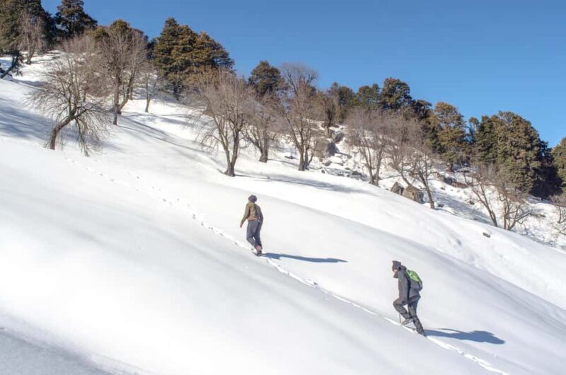 Manali: Chachogi Himachali Village Stay & Culture - Frequently Asked Questions