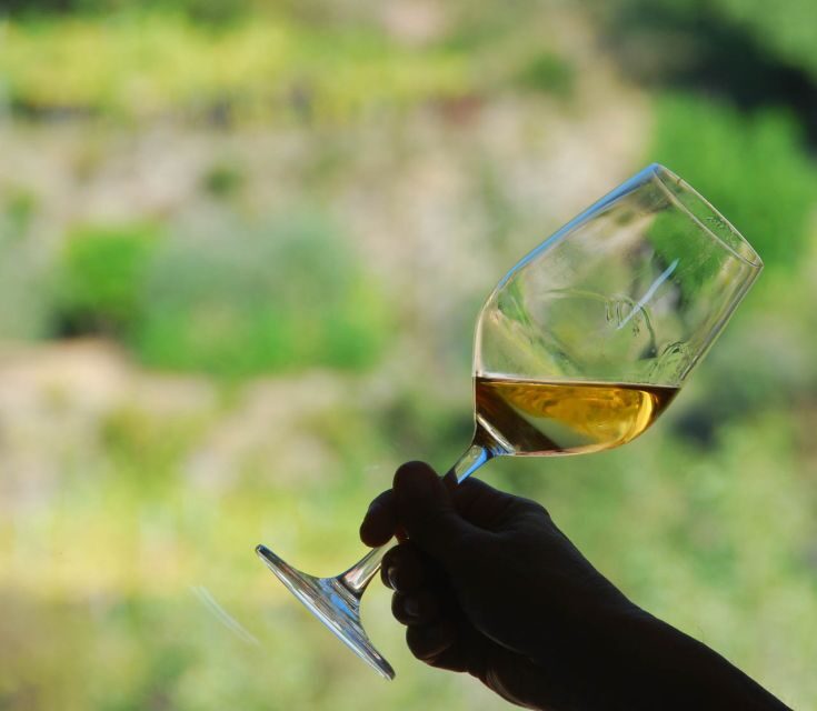 Manarola: Cinque Terre Wine Tasting - The Detailed Experience