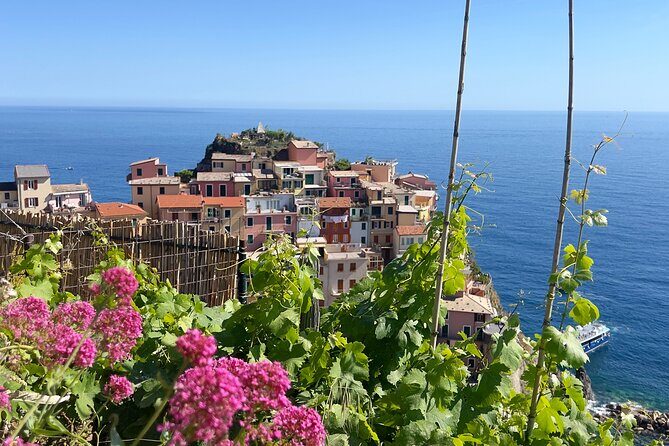 Manarola Wine Tasting Experience with Maria - Key Points
