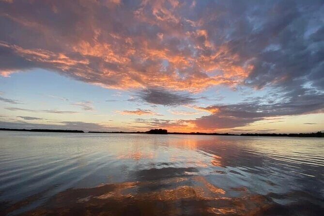 Manatee and Dolphin Kayak Tour - An In-Depth Look at the Manatee and Dolphin Kayak Tour