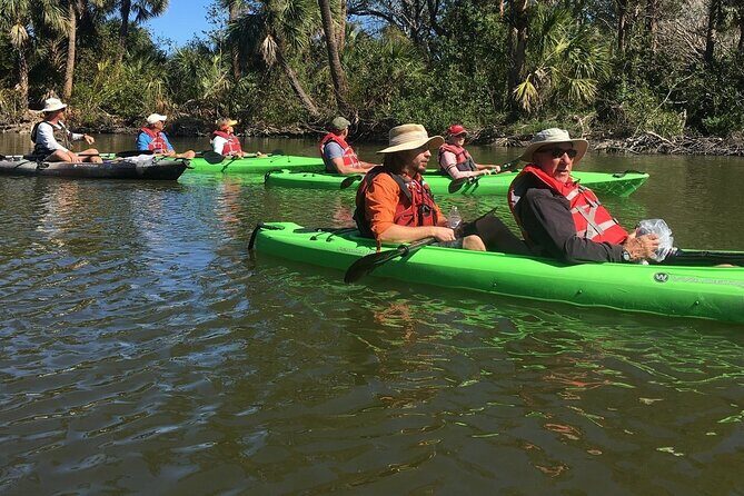 Manatee and Dolphin Kayaking Encounter - Who Will Love This Experience?
