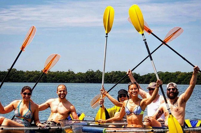 Manatee And Dolphin Tour - The Sum Up