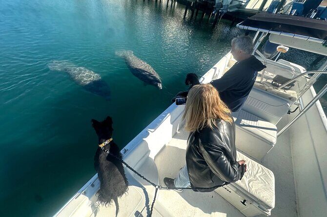Manatee and Wildlife Boat Tour - A Deep Dive into the Crystal River Wildlife Experience