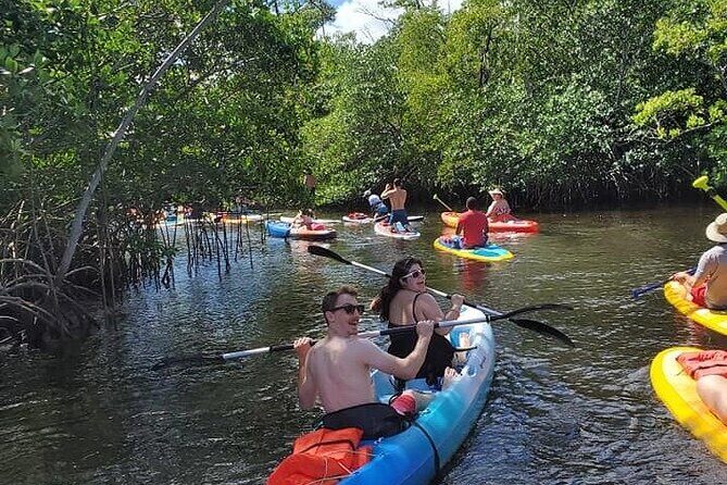 Manatee Encounter Guided Eco Kayak or Paddle Board Adventure - Experience the Manatee Encounter Guided Eco Kayak or Paddle Board Adventure