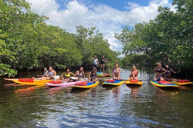 Manatee Encounter Guided Eco Kayak or Paddle Board Adventure - A Closer Look at the Tour Itinerary