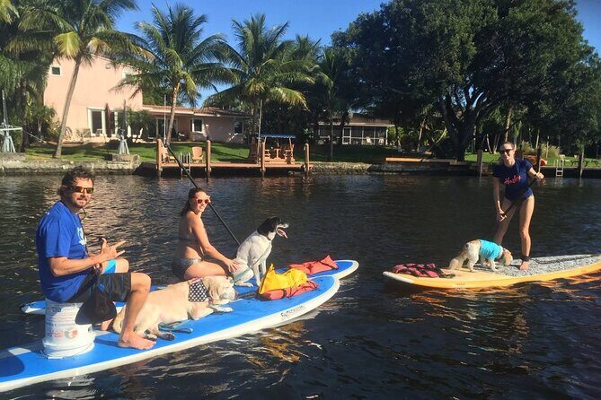 Manatee Encounter Guided Eco Kayak or Paddle Board Adventure - Authentic Experiences and Real Opinions