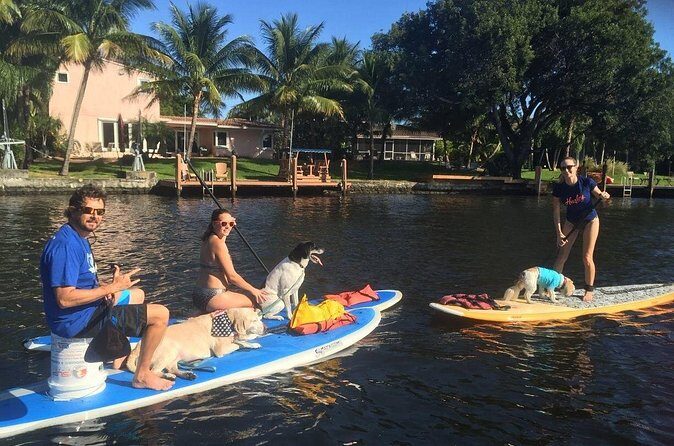 Manatee Encounter Guided Eco Kayak or Paddle Board Adventure - Who Will Love This Tour?
