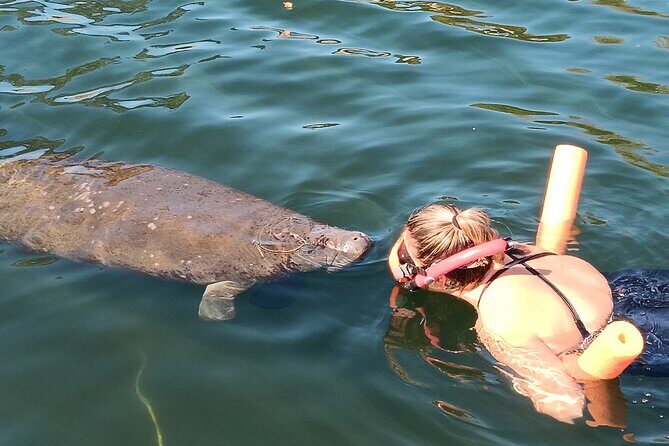 Manatee Magic Private 3 Hour Swim Heated Boat with Restroom - Key Points