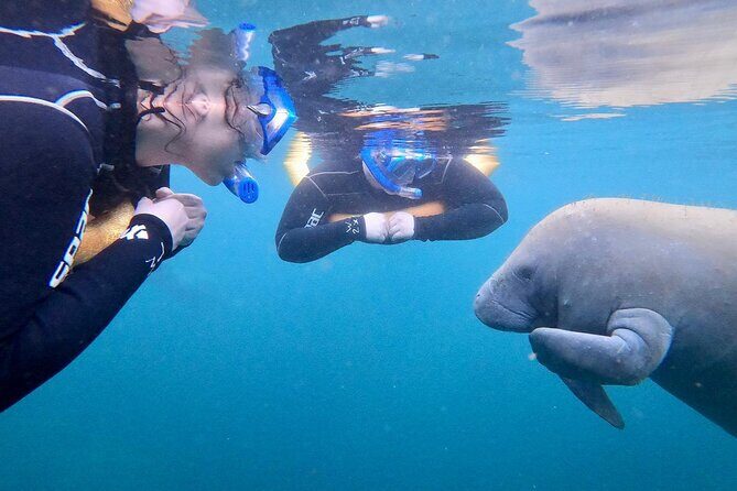 Manatee Magic Private 3 Hour Swim Heated Boat with Restroom - Pricing and Value Analysis