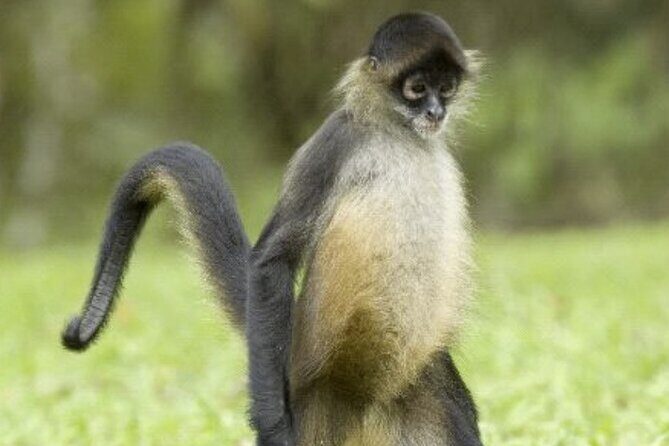 Manatee Magic Private 3 Hour Swim Heated Boat with Restroom - The Itinerary in Detail