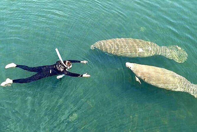 Manatee Magic Private 3 Hour Swim Heated Boat with Restroom - FAQ