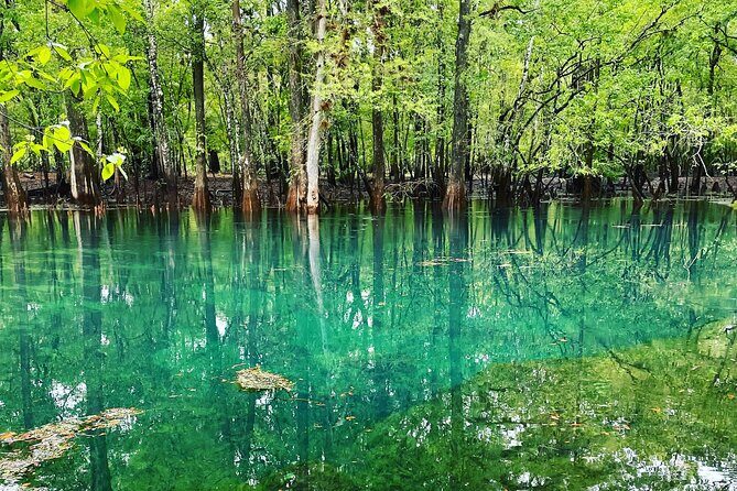 Manatee Springs Adventure Tour - FAQs
