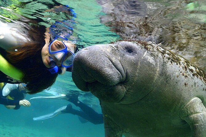 Manatee Swim and Wildlife Park with Upgrade Options from Orlando - An In-Depth Look at the Tour