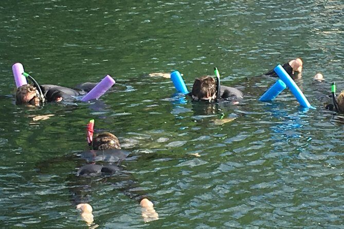 Manatee Swim and Wildlife Park with Upgrade Options from Orlando - The Sum Up: Who Should Consider This Tour?