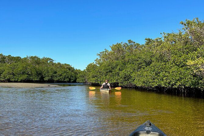 Manatees, Grasslands and Mangroves kayak Tour (Small Group Tour) - A Detailed Look at the Naples Kayak Experience