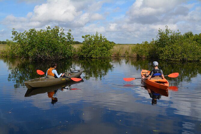 Manatees, Grasslands and Mangroves kayak Tour (Small Group Tour) - Frequently Asked Questions