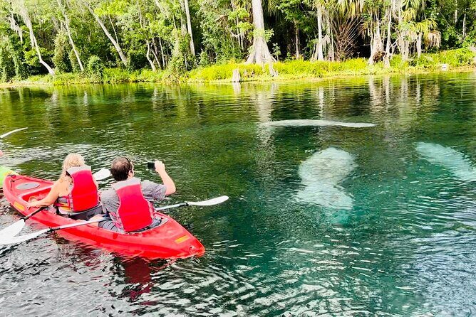 Manatees, Monkeys and Florida Natural Spring Adventure Tour - A comprehensive look at the Florida Spring Adventure