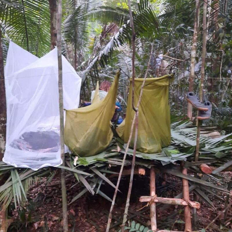 Manaus: 2, 3 or 4 days in the Amazon Survivor Experience - Key Points