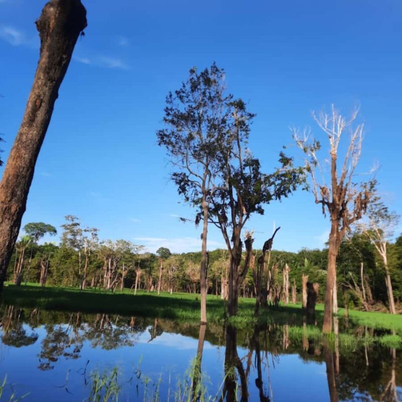 Manaus: 2, 3 or 4 days in the Amazon Survivor Experience - An In-Depth Look at the Amazon Survivor Experience