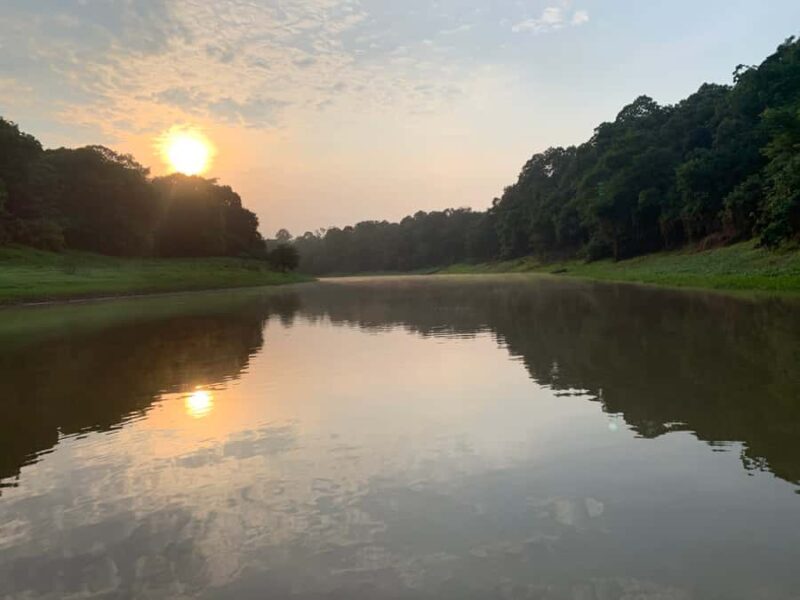 Manaus: 2-Day River Tour With Overnight Stay - What Travelers Are Saying