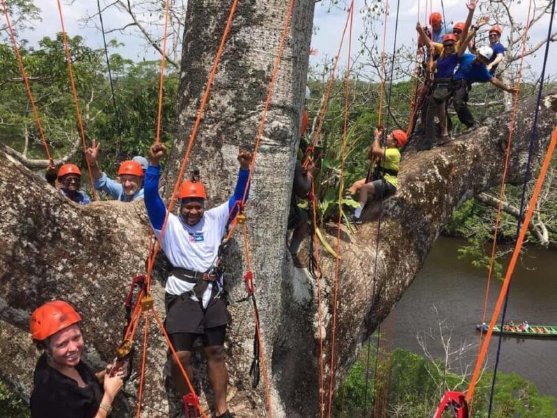 Manaus: Adventure Tree Climbing - Key Points