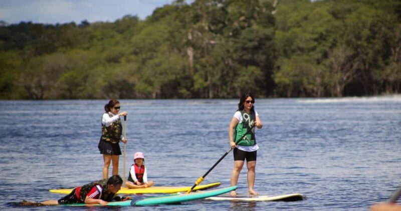 Manaus: Amazon River Stand-Up Paddle - Key Points